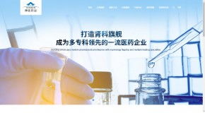 增值服务 espcms易思企业建站 网站模板 响应式建站 小程序开发 seapoa办公系统